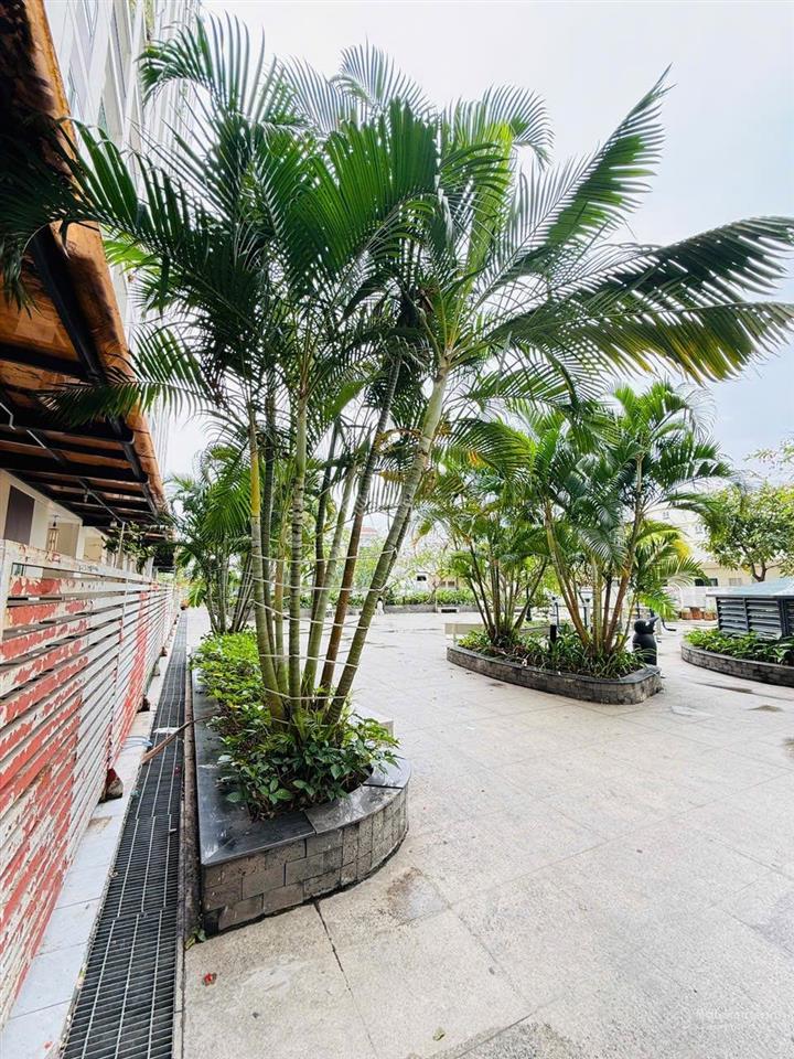 Cc bộ công an bán giá cực chất 6,9 tỷ, 75m2, 2pn, 2wc ở bình an, q2, hcm