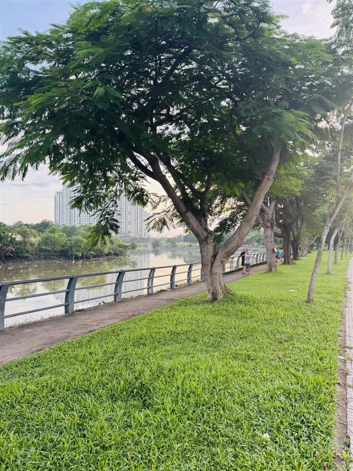 Rẻ quá a/chị ơi ! bán nhà mặt tiền thân văn nhiếp 4 tầng 7x17m  sàn 350m2  hđt 35tr  23,5 tỷ