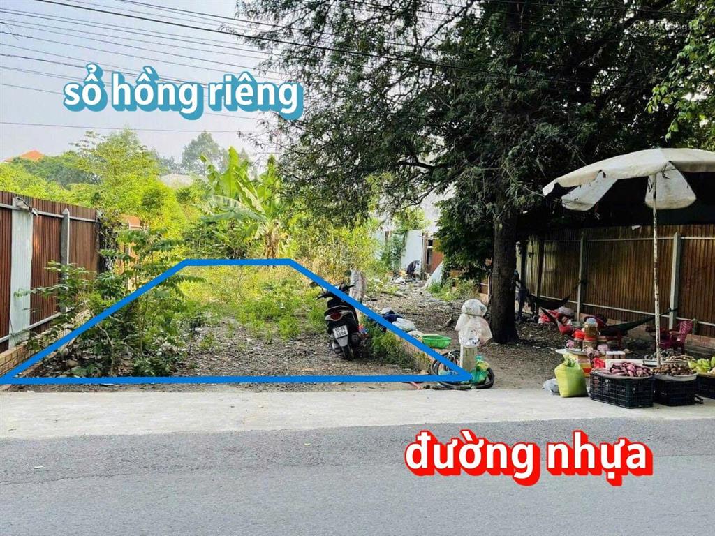 Đang kẹt tiền bán nhanh lô 131m2 đất đ.nguyễn thị lắng gần bệnh viện xuyên á & kcn giá 1,3 tỷ, shr