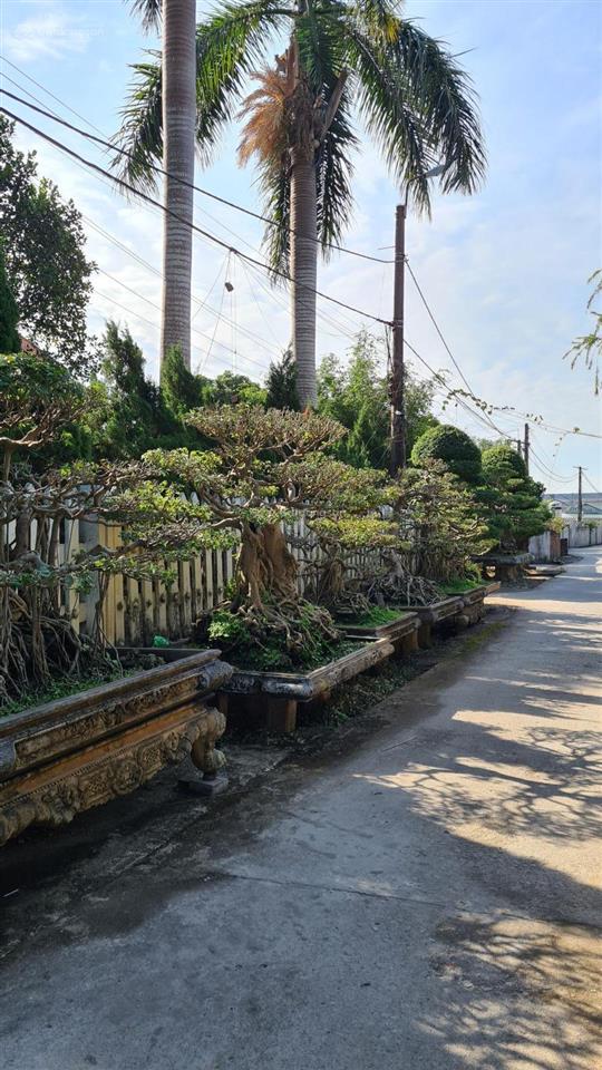 Bán nhà vườn hoàn thiện 4.200m² tại hoành bồ hạ long, giá tốt