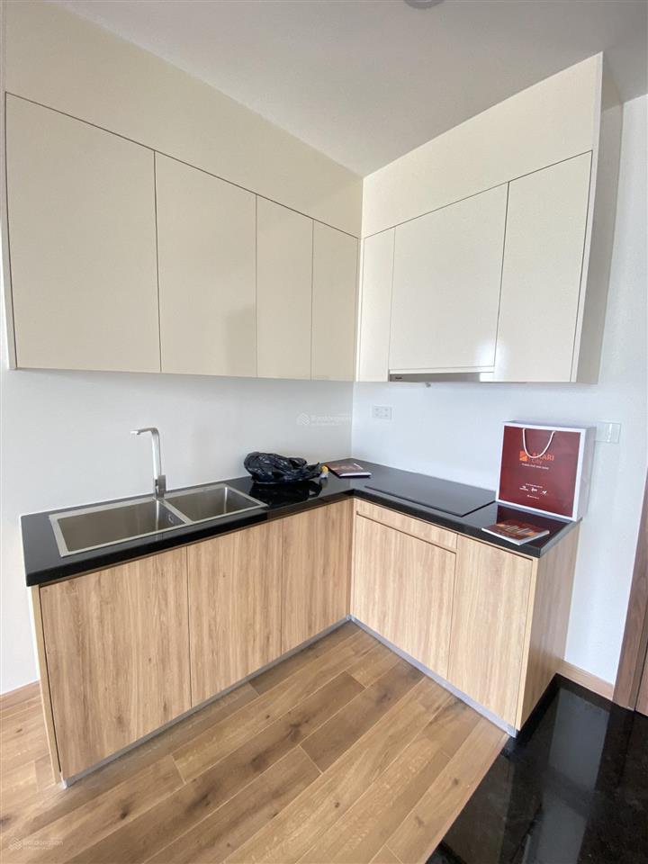 Chính chủ bán gấp căn 2pn akari city bình tân, sổ hồng sẵn, view pháo hoa q1 cực chill, giá 4.15 tỷ