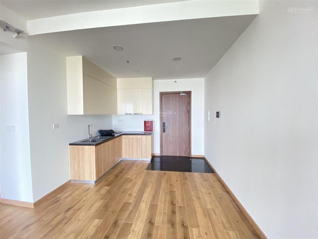 Chính chủ bán gấp căn 2pn akari city bình tân, sổ hồng sẵn, view pháo hoa q1 cực chill, giá 4.15 tỷ