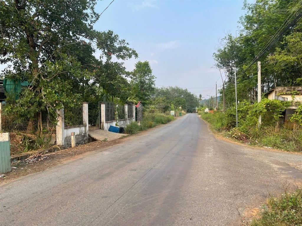 Đất thổ cư mặt tiền đường nhựa tại phường đồng phú, đồng nai. giá chỉ hơn 300tr