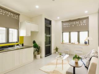 Cho thuê chdv 35m full nội thất hiện đại cao cấp vị trí trung tâm số 9 phan tôn quận 1 giá siêu tốt