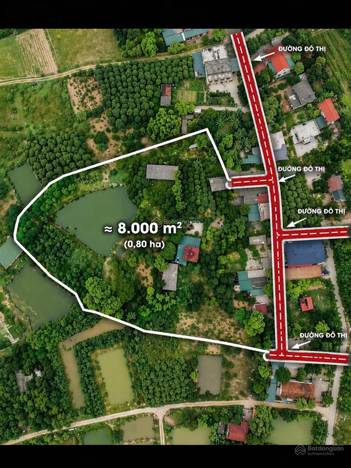 Bán khuôn viên nhà vườn ao cá cách hồ suối hai 500 mét tại cẩm lĩnh, ba vì, hà nội