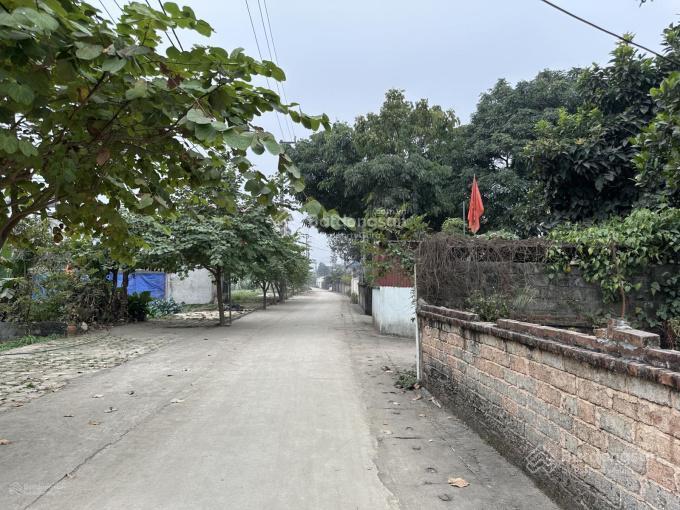 Bán đất tại thị trấn xuân mai, 1,5 tỷ, 74 m2, pháp lý đầy đủ