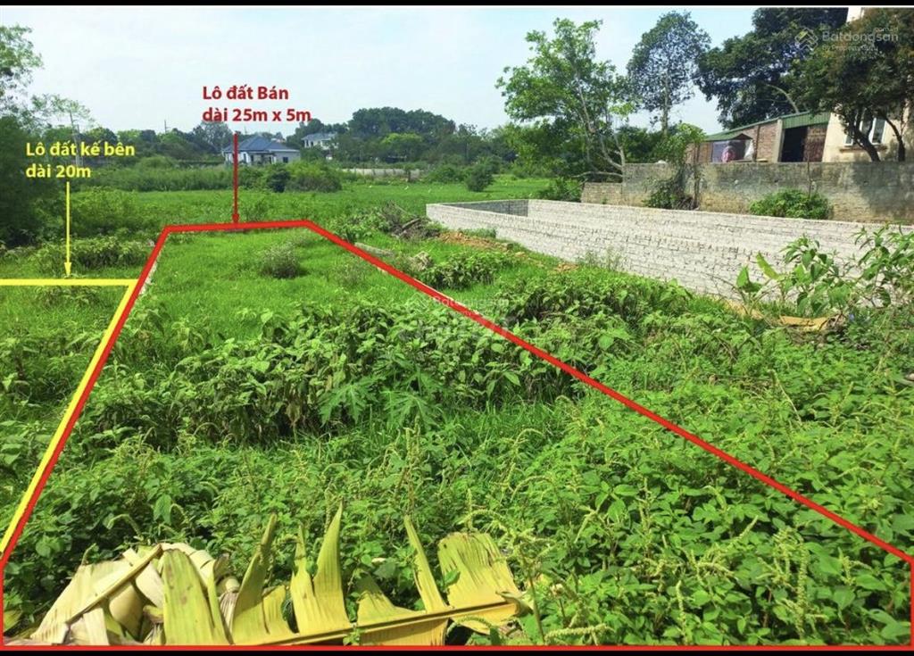 Bán 125m full thổ, cổ đông sơn tây , 3 mặt thoáng, đường 9m ô tô tránh