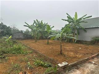 Chính chủ cần bán gấp lô xuân mai  đất mặt đường, dân cư đông, giá tốt nhất khu vực!
