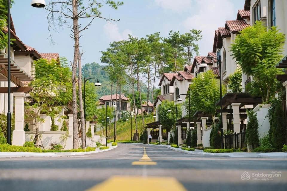 Hiếm có 1 căn bt song lập, giá đầu tư, giá đầu tư chỉ 14 tỷ
