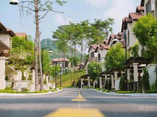 Hiếm có 1 căn bt song lập, giá đầu tư, giá đầu tư chỉ 14 tỷ