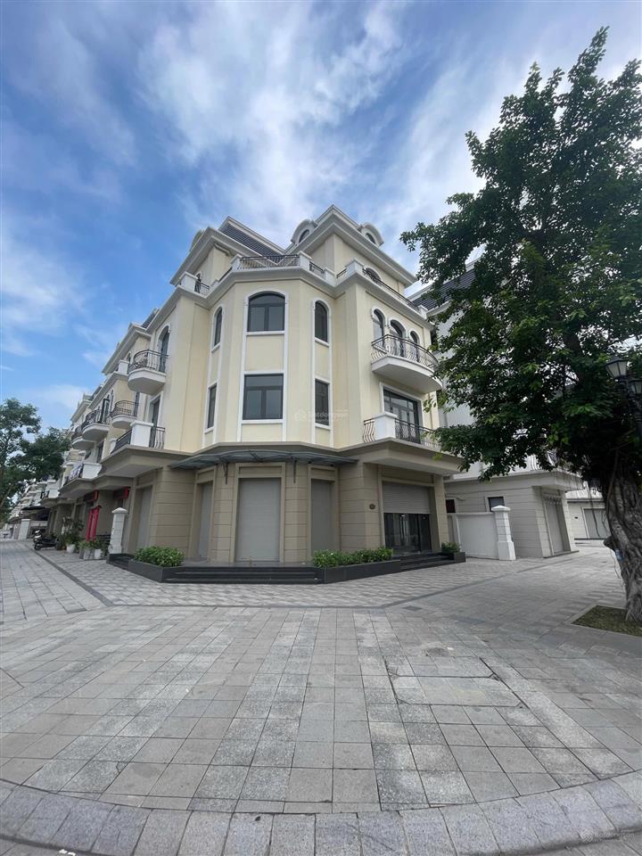 Gia đình muốn định cư nước ngoài cần bán gấp căn biệt thự 3 mặt tiền cắt lỗ 9 tỷ so với giá lúc mua