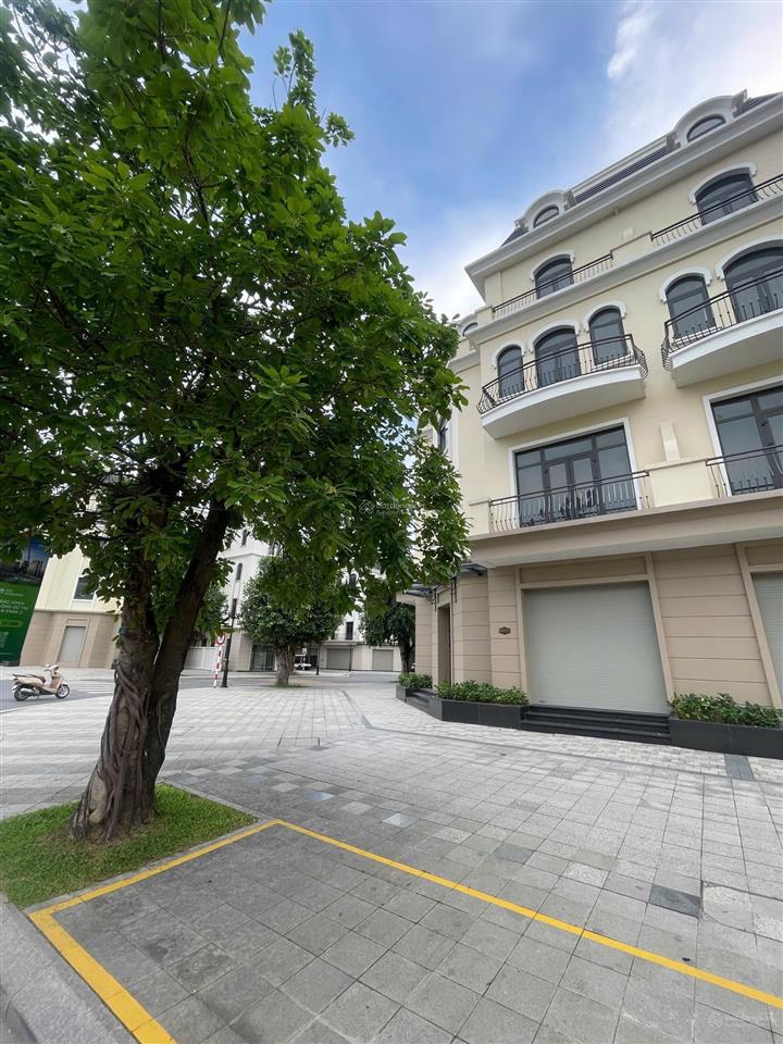 Mở rộng nhà máy sản xuất kinh doanh, muốn nhượng lại biệt thự góc, rẻ hơn 9 tỷ so với lúc mua