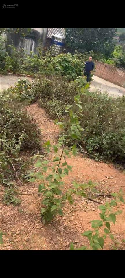 Bán đất chính chủ 396,5m2, giá cả thuơng luợng trực tiếp với chủ sở huu, không qua môi giới