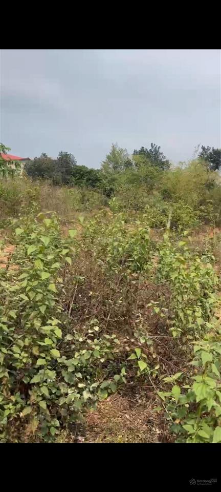 Bán đất chính chủ 396,5m2, giá cả thuơng luợng trực tiếp với chủ sở huu, không qua môi giới