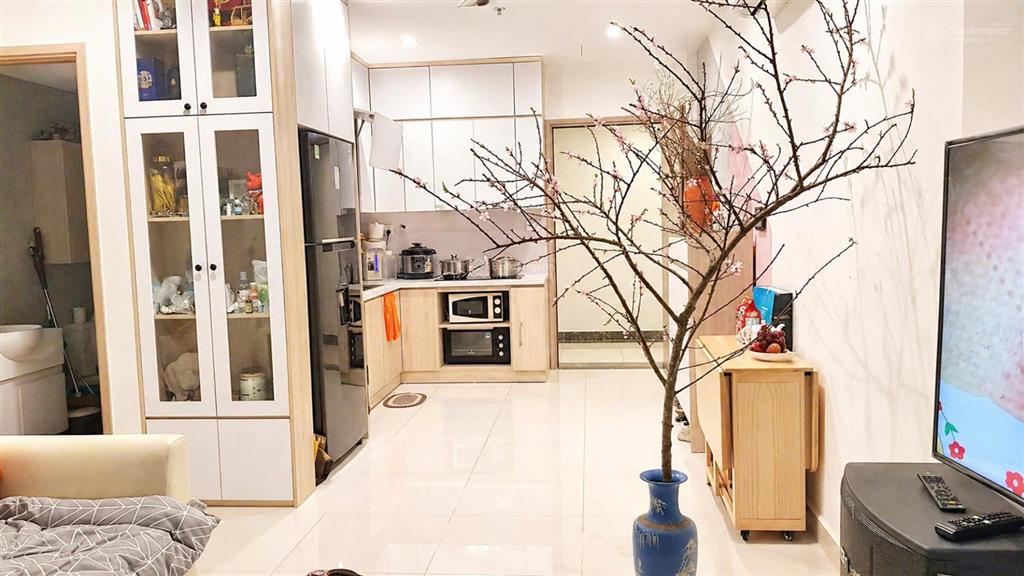 Giảm giá sốc chính chủ bán căn hộ tòa s4.01 vinhomes smart city tây mỗ, dt 74,8m2 giá 5,2 tỷ