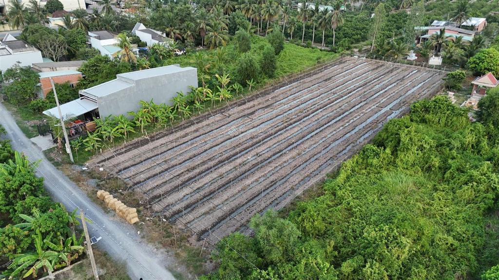 Bán đất gần happyland, 5,2 tỷ, 2600 m2 đã tách làm 2 sổ ấp 1 bình đức bến lức, long an,