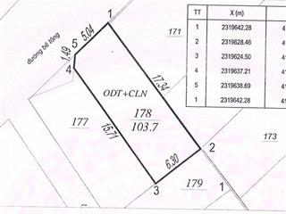 Cc cần bán 105m² đất sổ hồng lô góc sát ga tod tttm vincom và vin hạ long xanh 3,xx tỷ