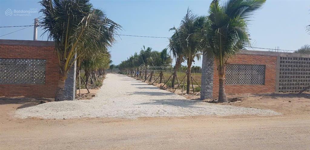 Siêu phẩm hồ tràm 3 mặt tiền gần biển 5 phút