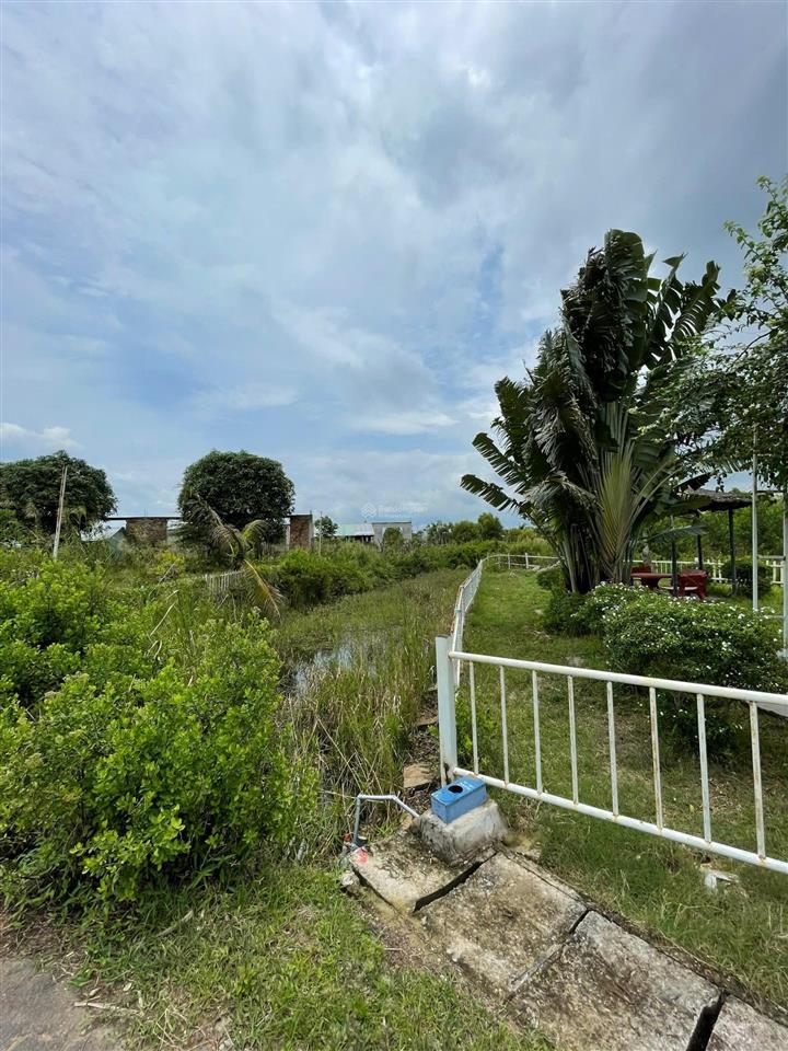 View suối + mặt tiền oda 311m, giá tốt hồ tràm 5,5 tỷ !