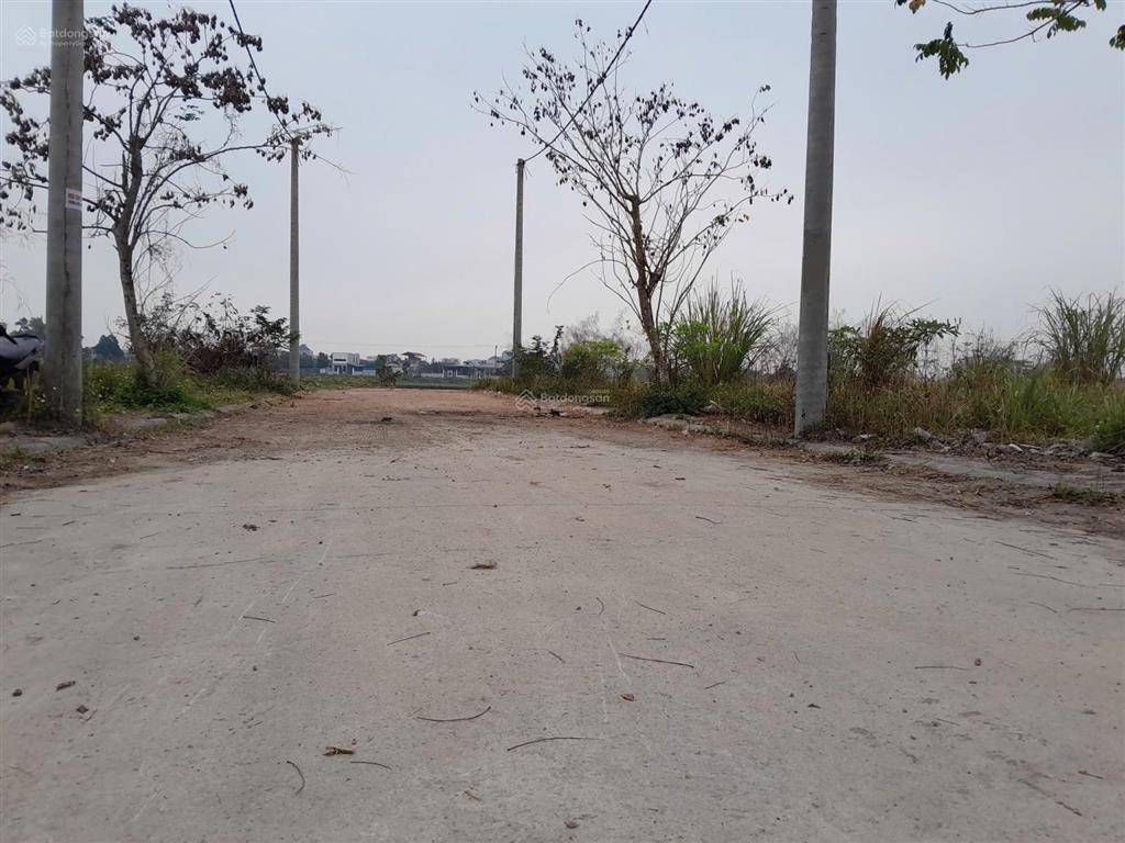 Siêu hiếm.72m2.đấu giá rặng sắncao dươngql 21bthanh oaiô tô tránhkinh doanhgiá đầu tư tốt