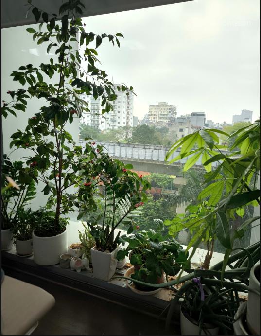 Diện tích văn phòng hạng a full nội thất đẹp đầy đủ