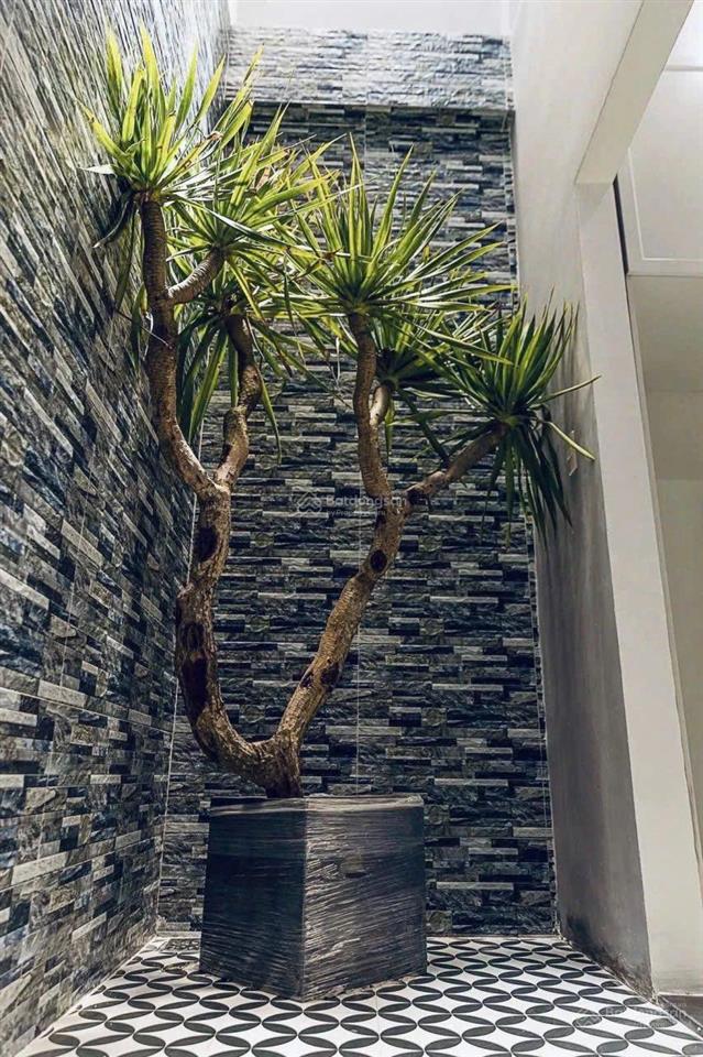 Nhà giá ngộp đường lê thị riêng, quận 12/48m2 giá chỉ 4 tỷ 250