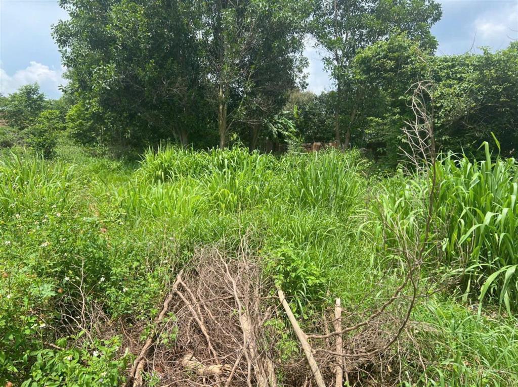 Bán đất tại phường xuân lập, thành phố long khánh, đồng nai, 5,2 tỷ, 667 m2 hot!