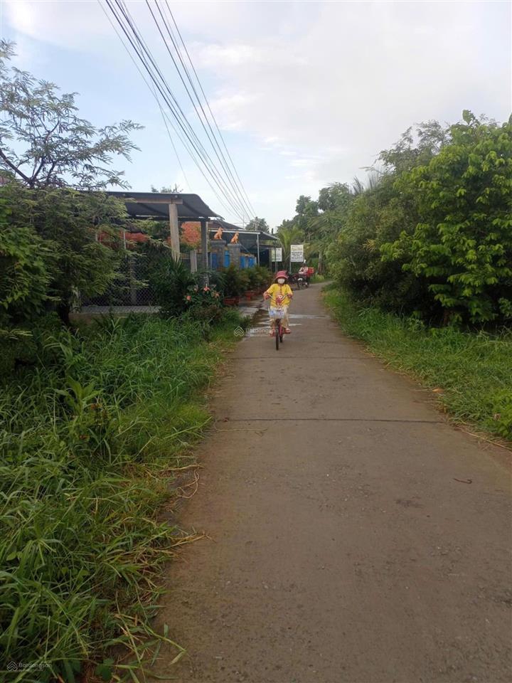 Chính chủ cần bán đất thạnh phú, bến tre sổ riêng, vị trí đẹp