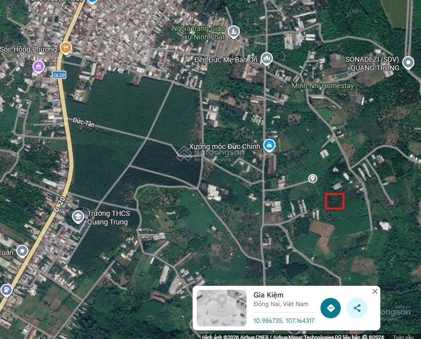 Bán đất vườn 4.329m, trồng chuyên bơ, vú sữa và sầu riêng.