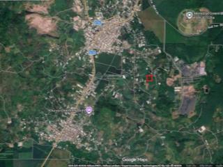 Bán đất vườn 4.329m, trồng chuyên bơ, vú sữa và sầu riêng.