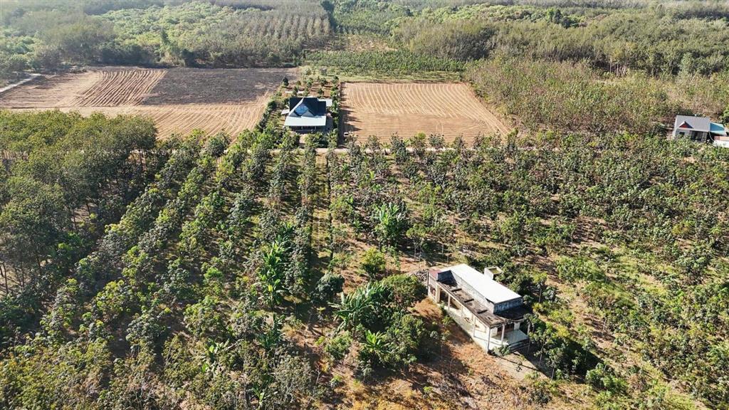 Bán đất tại đt753, đồng tâm, huyện đồng phú, 390 triệu, 1000m2 giá siêu hời