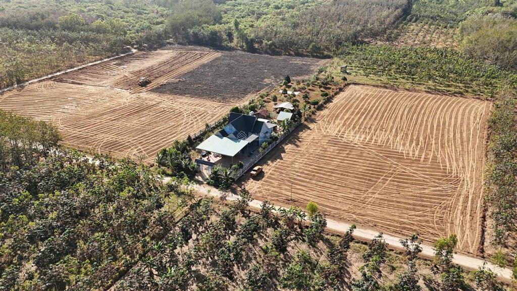 Bán đất tại đt753, đồng tâm, huyện đồng phú, 390 triệu, 1000m2 giá siêu hời