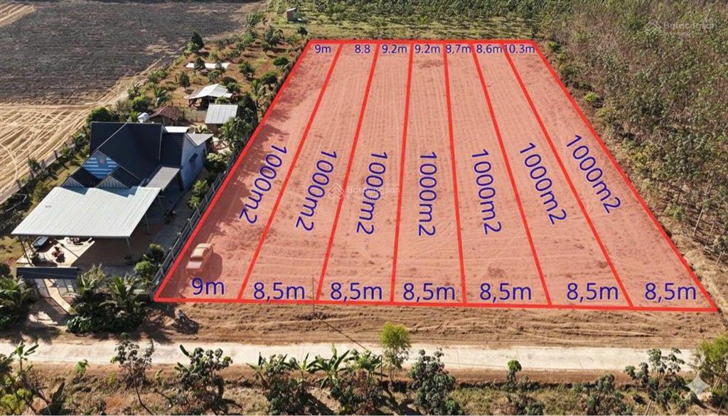 Bán đất tại đt753, đồng tâm, huyện đồng phú, 390 triệu, 1000m2 giá siêu hời