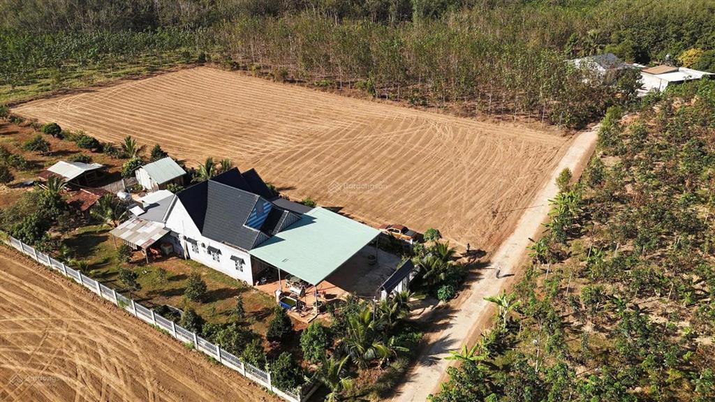 Bán đất tại đt753, đồng tâm, huyện đồng phú, 390 triệu, 1000m2 giá siêu hời