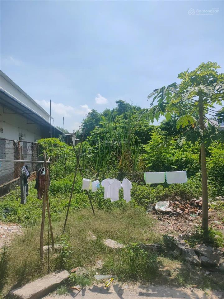 Bán đất chính chủ tổng diện tích sử dụng là 216m2