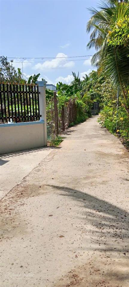 Bán đất vườn trồng cây lâu năm, đang trồng dừa lùn thu hoạch hàng tháng