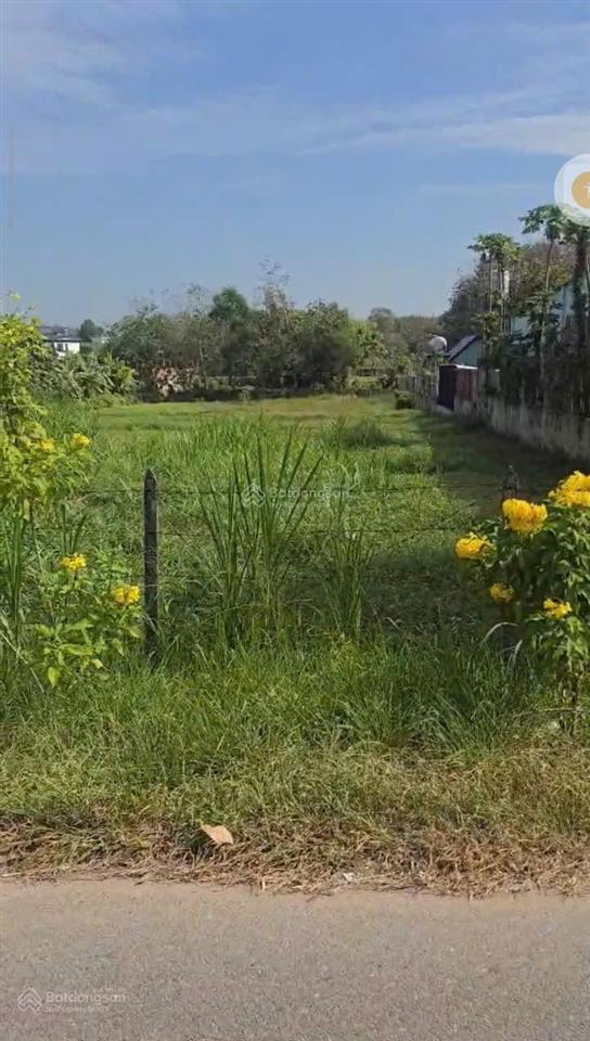 Bán đất mặt tiền nhựa, xã thái mỹ, huyện củ chi 2000m2 giá bán 36 tỷ