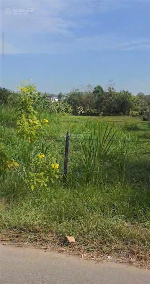 Bán đất mặt tiền nhựa, xã thái mỹ, huyện củ chi 2000m2 giá bán 36 tỷ
