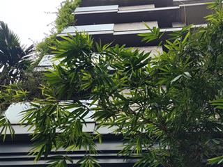 Đầu tư giữ tiền bền vững hiệu quả. liễu giai  ba đình 100m2x9t thang máy. hợp đồng 180tr/tháng
