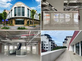Chào thuê tòa nhà thương mại bắc qua complex 19 hàng khoai, hoàn kiếm, hà nội