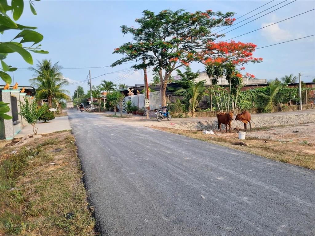 Đất tây ninh giá rẻ. đường nhựa, khu dân cư. 5x35m, giá 4** tr