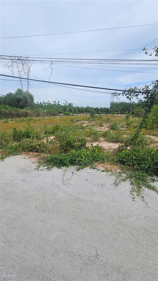 Đất thổ cư, đường nhựa. gần kcn hiệp thạnh. 120m2 chỉ 4xx tr