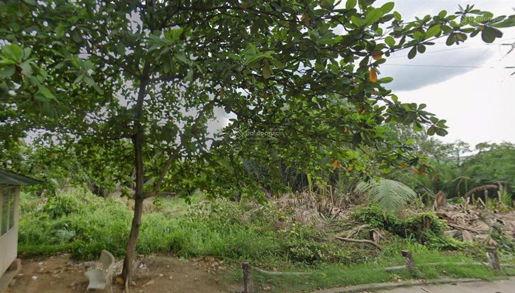 Bán lô đất thổ cư 200m2, 8 x 25, nguyễn thị định, cát lái, tiện xây trọ  chdv