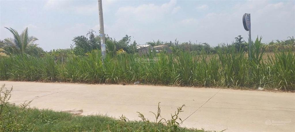 Đất đức hòa long an cũ. dt 2025m2. giá 4.5 tỷ