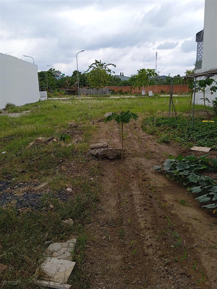 Sở hữu ngay nền đẹp thắng lợi central hill  sổ hồng trong tay  sống chuẩn compound