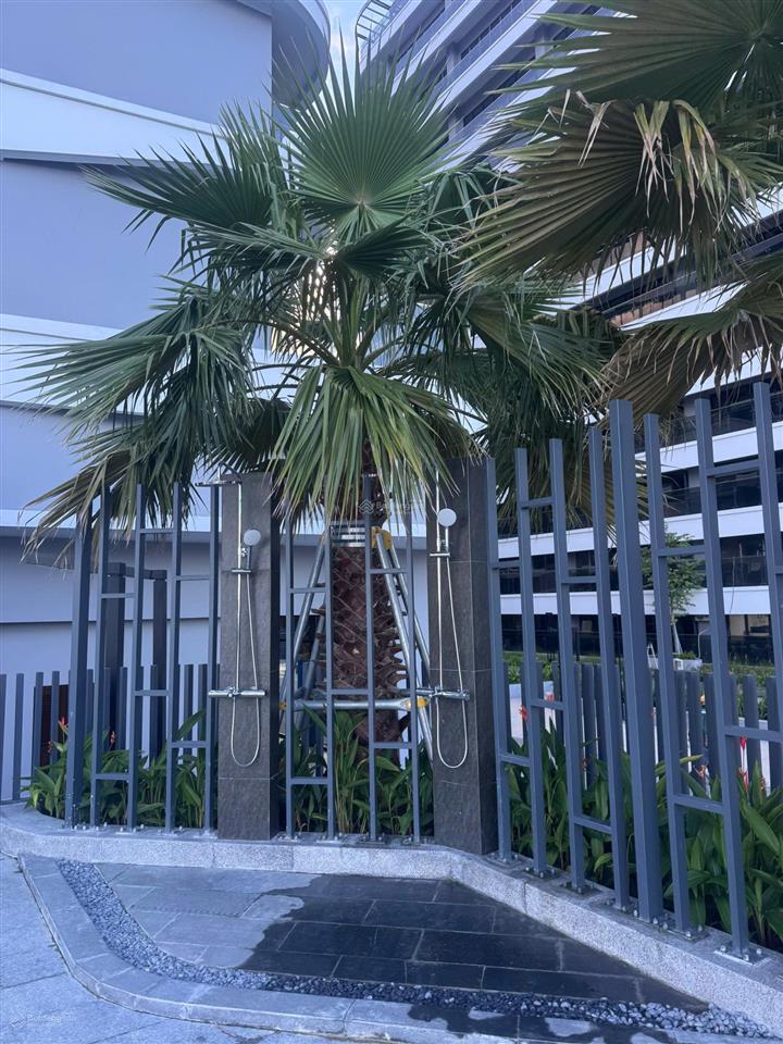 Căn hộ dòng tiền ttc plaza đà nẵng ngay trên aeon mall chỉ từ 462 triệu