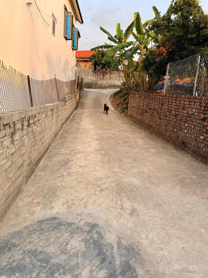 Một lô đất cực hiếm đầu tư là có lãi.ở văn phong châu cầu (phù lãng)  quế võ tỉnh bắc ninh