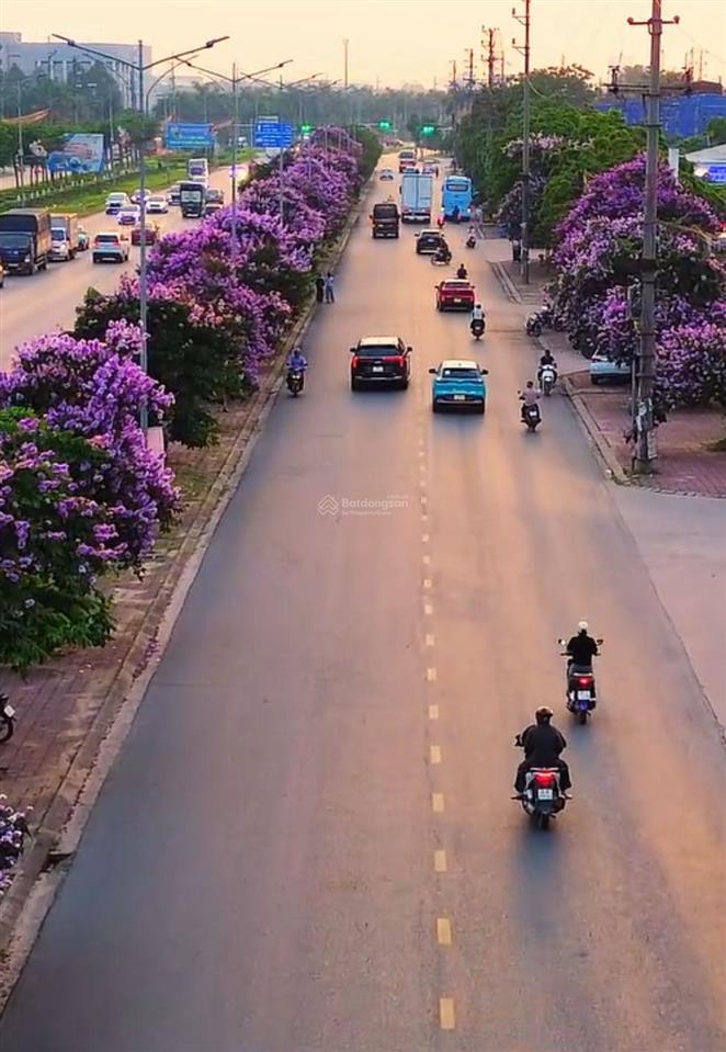 Chính chủ gửi bán lô đất vàng mặt đường 18 giang liễu, phương liễu, bắc ninh