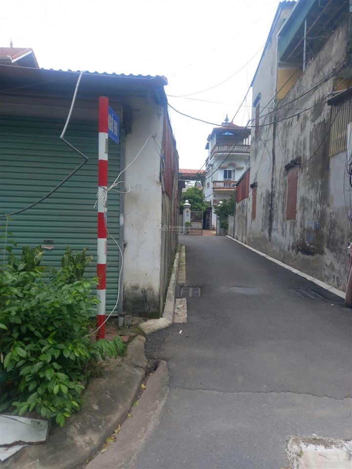 Cho thuê nhà khu b  viện rau trâu quỳ