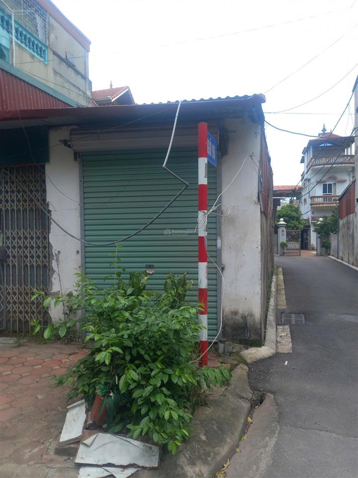 Cho thuê nhà khu b  viện rau trâu quỳ